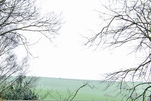 Photo 12- click for photo gallery